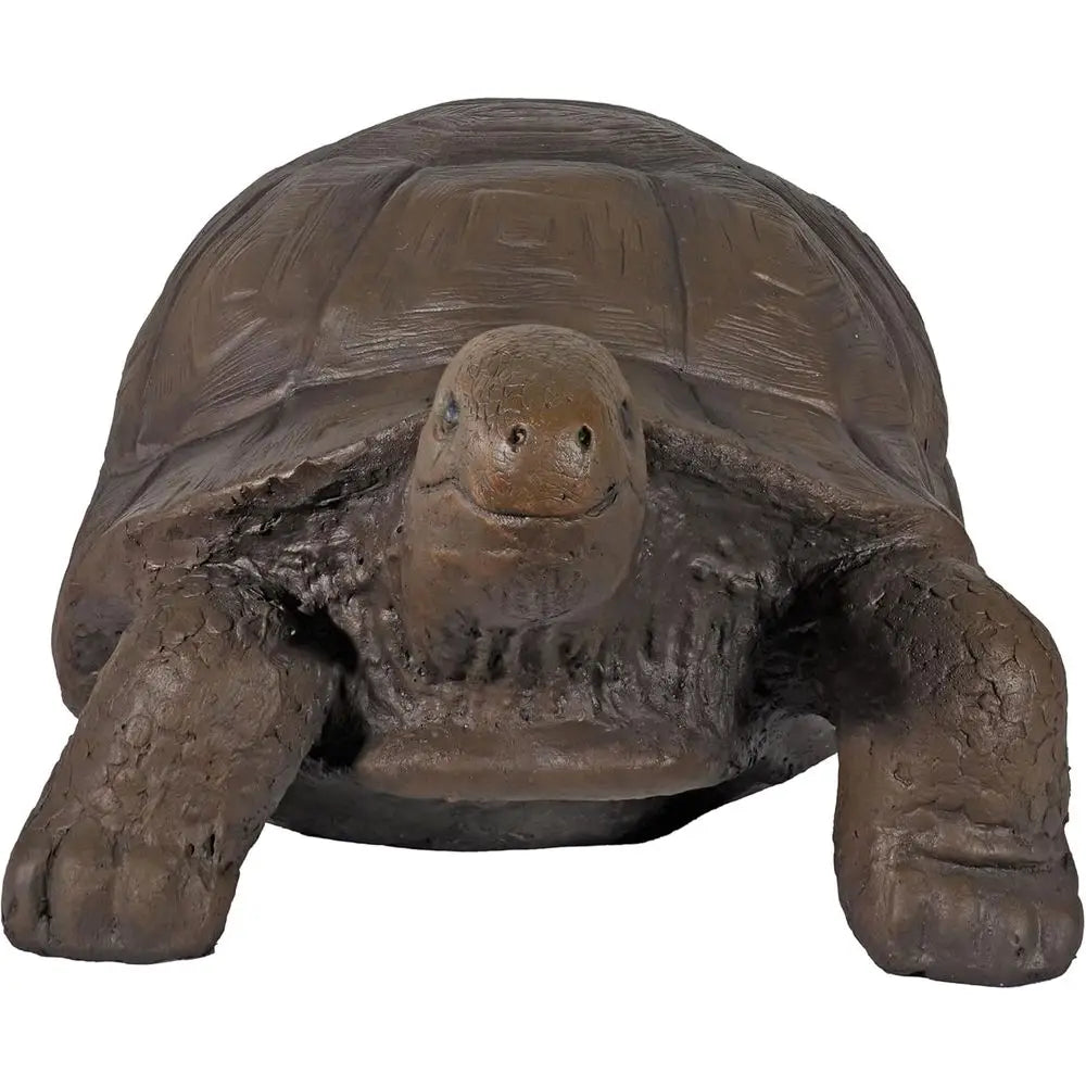Turtle Statue
